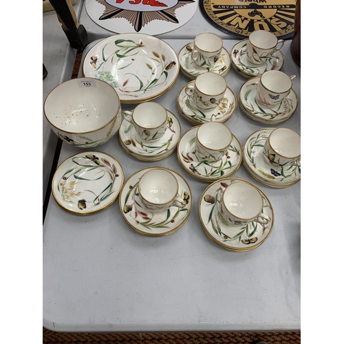 153 - A HANDPAINTED BUTTERFLY AND LADYBIRD PATTERN SET TO INCLUDE CUPS AND SAUCERS, PLATES, BOWL ETC