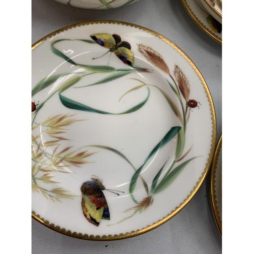 153 - A HANDPAINTED BUTTERFLY AND LADYBIRD PATTERN SET TO INCLUDE CUPS AND SAUCERS, PLATES, BOWL ETC