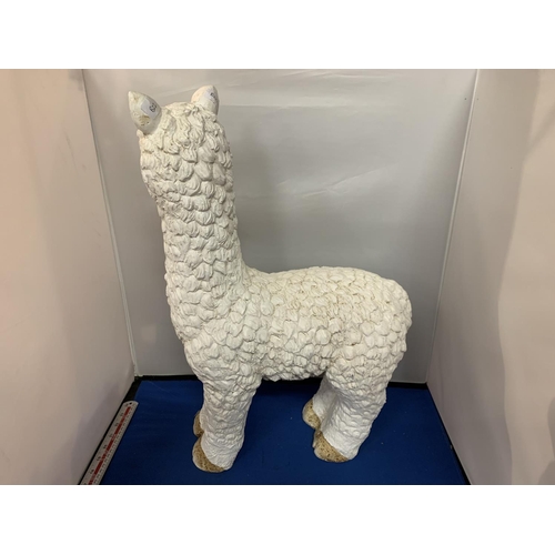 448 - A LARGE WHITE MODEL OF LLAMA