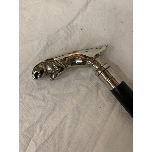 50 - A BLACK WALKING STICK WITH A CHROME JAGUAR HANDLE