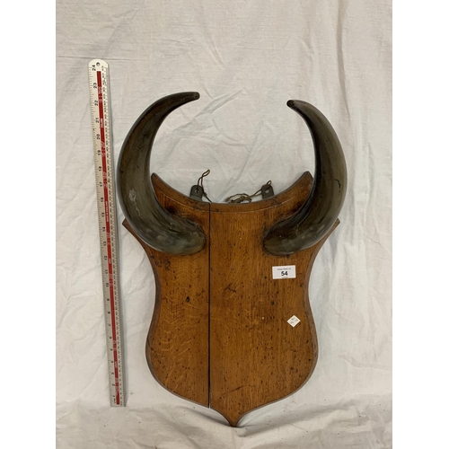 54 - A SET OF HORNS ON A WOODEN PLAQUE