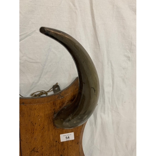 54 - A SET OF HORNS ON A WOODEN PLAQUE