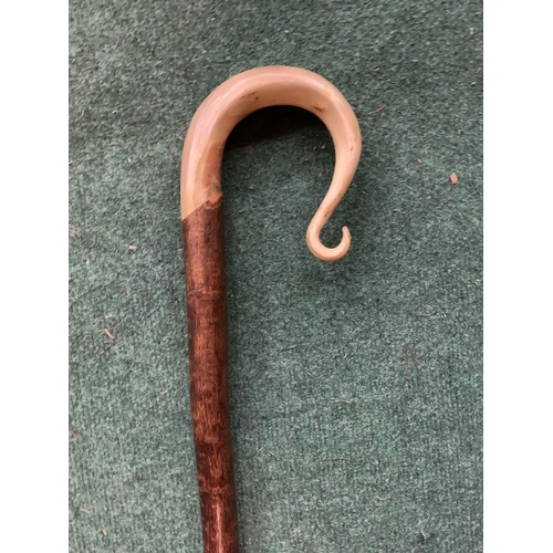 662 - A SHEPHERDS CROOK