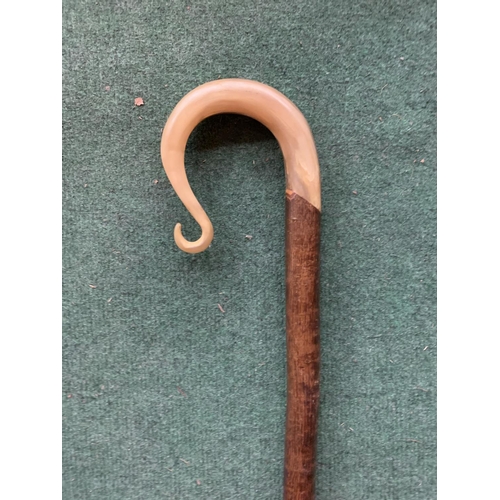 662 - A SHEPHERDS CROOK