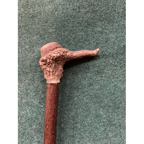 663 - A THUMBSTICK WITH A HORN TOP