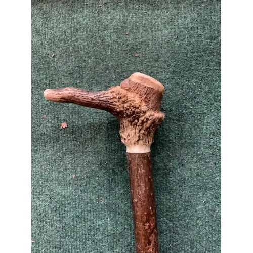 663 - A THUMBSTICK WITH A HORN TOP