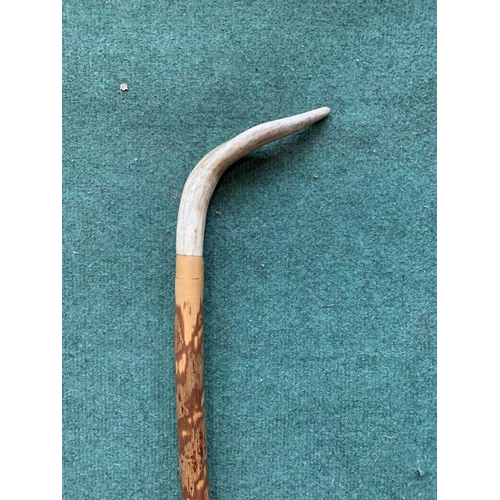 666 - A SHEPHERDS STICK WITH A HORN TOP