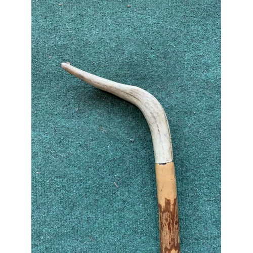 666 - A SHEPHERDS STICK WITH A HORN TOP