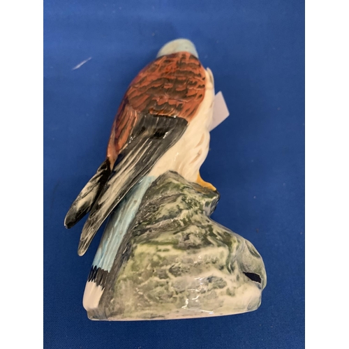 726 - ROYAL DOULTON KESTREL BIRD FIGURE 17 CM