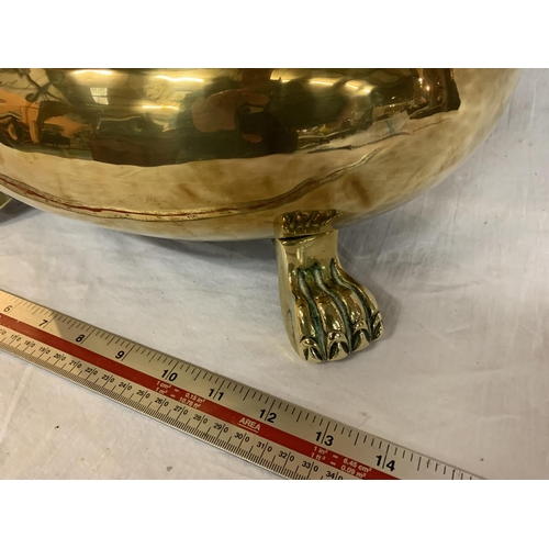 46 - A BRASS OVAL BOWL ON CLAW FEET