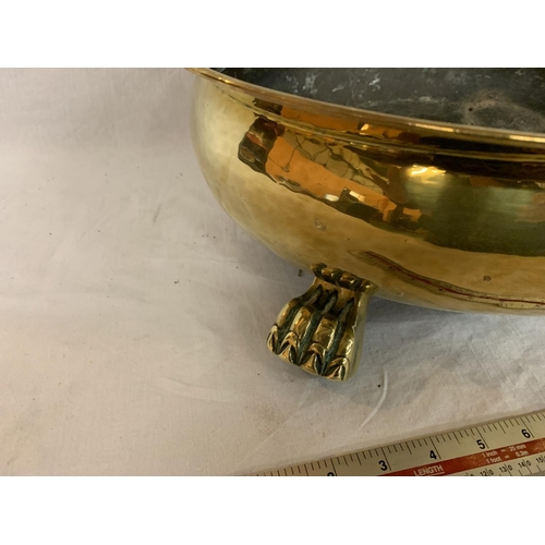 46 - A BRASS OVAL BOWL ON CLAW FEET