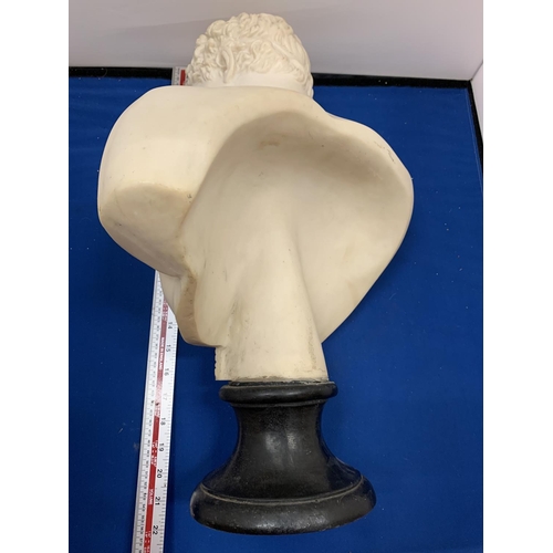 221 - A VINTAGE RECONSITUTED ITALIAN MARBLE BUST