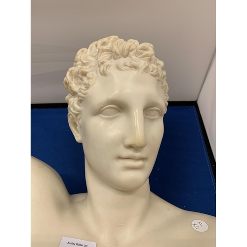 221 - A VINTAGE RECONSITUTED ITALIAN MARBLE BUST