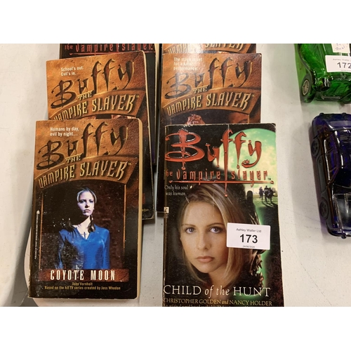 173 - TEN BUFFY THE VAMPIRE SLAYER NOVELS AND A BOX SET