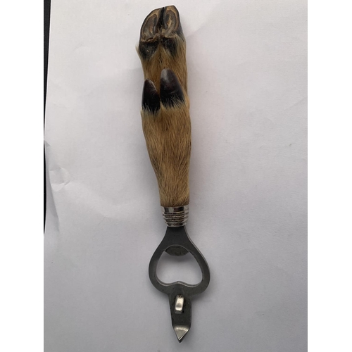 580 - A ROE DEER FOOT BOTTLE OPENER