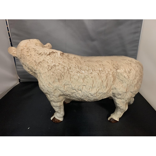 770 - A LARGE CERAMIC CHAROLAIS BUTCHERS ADVERTISING BULL