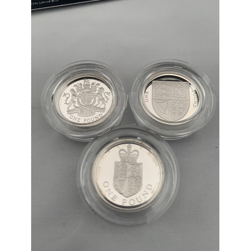 309 - A BOXED 2013 ROYAL MINT BRITANNIA SILVER SET OF 3 POUND COINS WITH CERTIFICATE