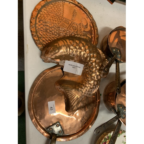 43 - A QUANTITY OF VINTAGE BRASS COOKWARE TO INCLUDE PANS, A SKILLET AND A FISH MOULD