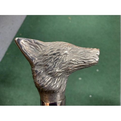 44 - A DARK WOODEN WALKING STICK WITH A SILVER PLATE WOLF'S HEAD HANDLE