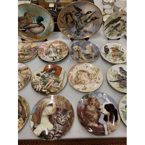 134 - A LARGE ASSORTMENT OF COLLECTABLE PLATES TO INCLUDE ROYAL WORCESTER ETC