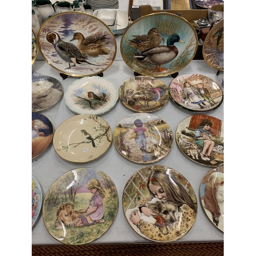 134 - A LARGE ASSORTMENT OF COLLECTABLE PLATES TO INCLUDE ROYAL WORCESTER ETC