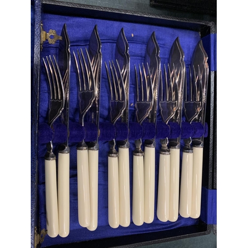 205 - TWO CASED SETS IF FISH KNIVES AND FORKS