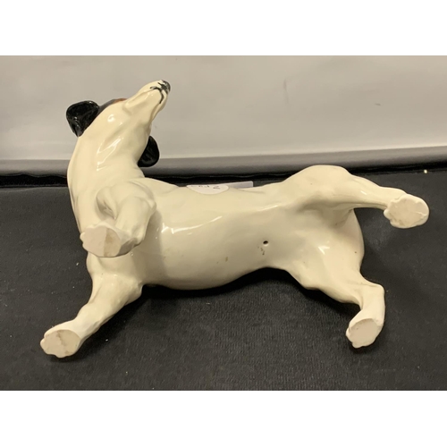 739 - A MODEL OF A JACK RUSSEL DOG