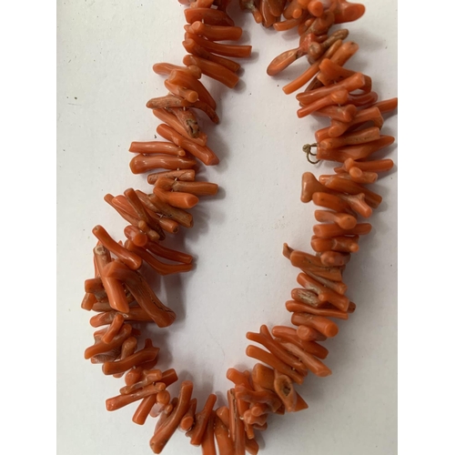 623 - TWO SINGLE STRAND CORAL TEETH SHAPED BEADS AND A MATCHING BRACELET