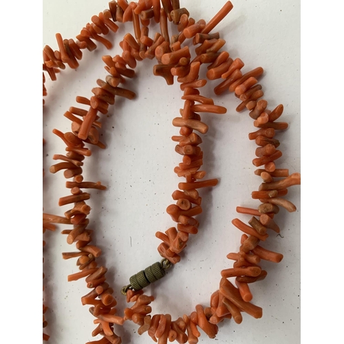 623 - TWO SINGLE STRAND CORAL TEETH SHAPED BEADS AND A MATCHING BRACELET