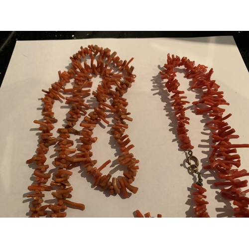 534 - TWO SINGLE STRAND CORAL TEETH SHAPED BEADS AND A MATCHING BRACELET