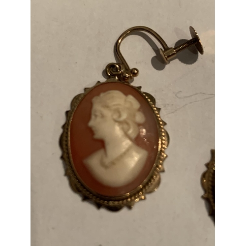 560 - A PAIR OF 9 CARAT GOLD CAMEO EARRINGS