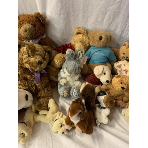 373 - SEVENTEEN ASSORTED SOFT TOYS TO INCLUDE TEDDY BEARS, DOGS ETC MOST WITH TAGS