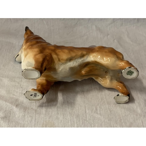 704 - A BESWICK CORGI DOG