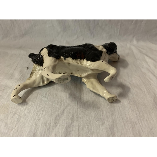 705 - A BESWICK BLACK AND WHITE SPANIEL