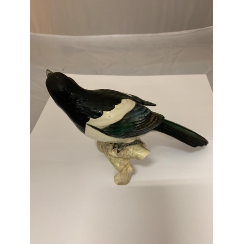 721 - A BESWICK MAGPIE