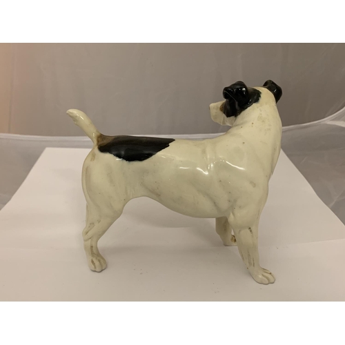 751 - A MODEL OF A JACK RUSSEL DOG