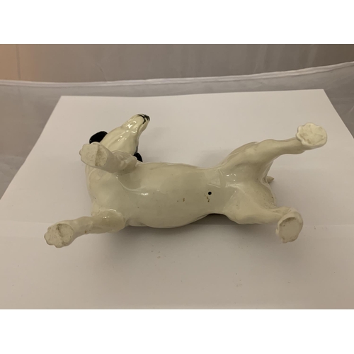 751 - A MODEL OF A JACK RUSSEL DOG