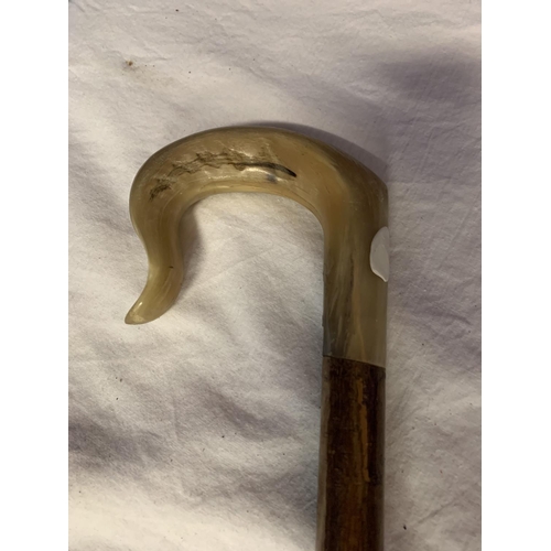 41 - A WOODEN WALKING STICK WITH ANIMAL HORN HANDLE