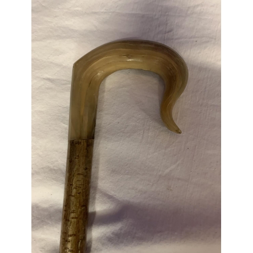 41 - A WOODEN WALKING STICK WITH ANIMAL HORN HANDLE