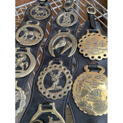 1223 - A LARGE QUANTITY OF HORSE BRASSES