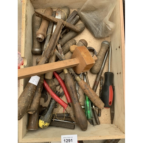 1291 - A QUANTITY OF TOOLS AND HARDWARE TO INCLUDE HINGES, SAWS, FILES, NUTS AND BOLTS