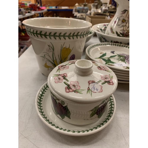 135 - A GROUP OF PORTMERION TO INCLUDE PLATES, PLANT POT, JUG AND BOWL, TWO FURTHER BOWLS ETC