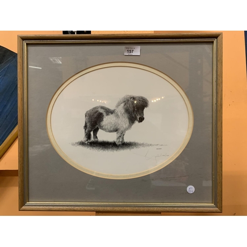 157 - A FRAMED SIGNED LIMITED EDITION GELDART PRINT OF A SHETLAND PONY