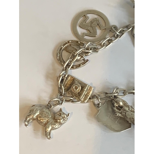 578 - A SILVER CHARM BRACELET WITH SILVER CHARMS