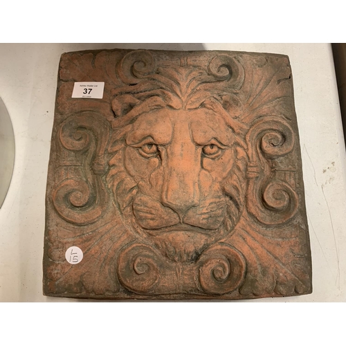 Lot 37        