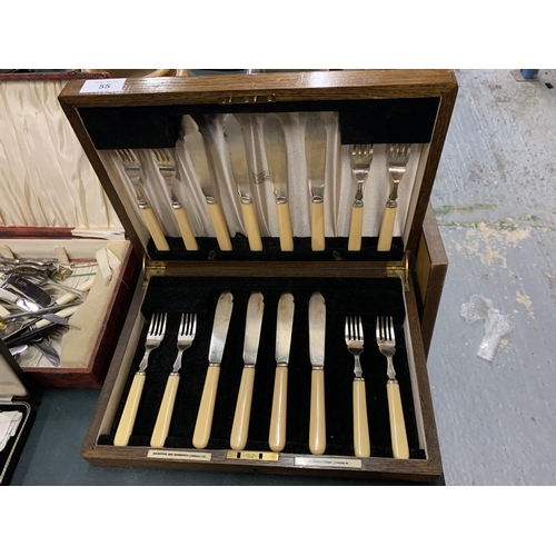Lot 55        