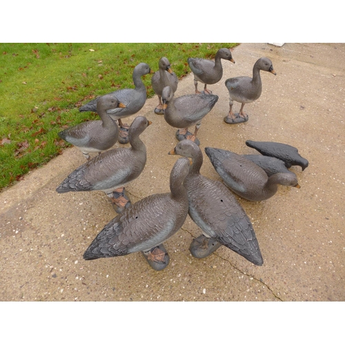 433 - TEN LIFE SIZE DECOY PINK FOOT GEESE (ONE LEGLESS) AND TWO CROWS