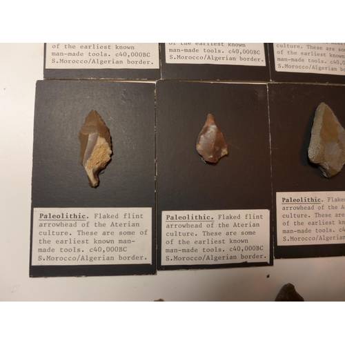 445 - ELEVEN PALEOLITHIC FLINT ARROWHEADS (CIRCA 40,000 B.C.), EIGHT MOUNTED ON CARD WITH EXPLANITORY NOTE... 