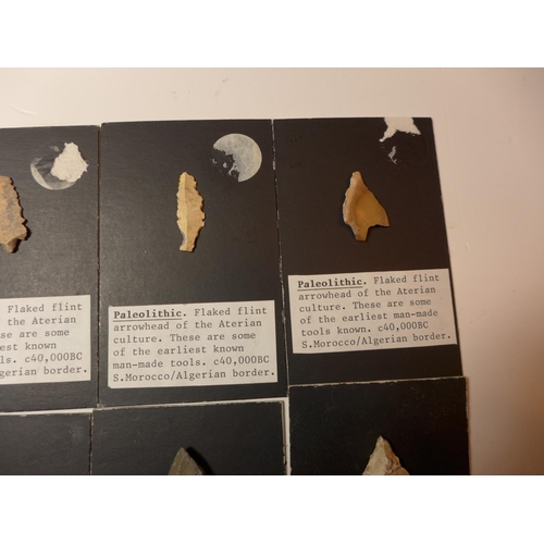 445 - ELEVEN PALEOLITHIC FLINT ARROWHEADS (CIRCA 40,000 B.C.), EIGHT MOUNTED ON CARD WITH EXPLANITORY NOTE... 