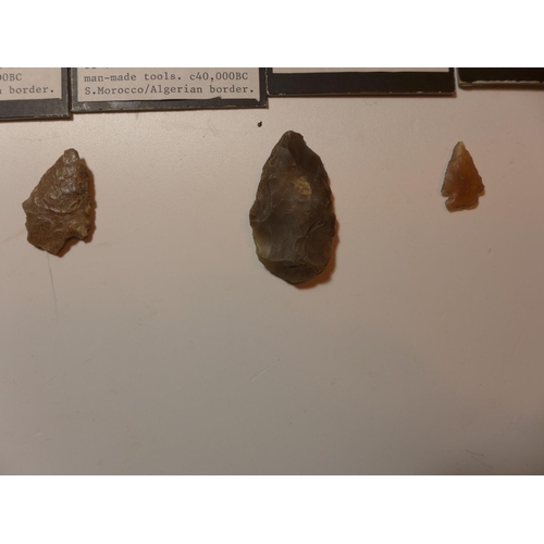 445 - ELEVEN PALEOLITHIC FLINT ARROWHEADS (CIRCA 40,000 B.C.), EIGHT MOUNTED ON CARD WITH EXPLANITORY NOTE... 